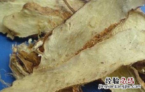 知母的产地分布 知母主产于