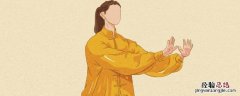 什么是武术人 什么是武术人的概念