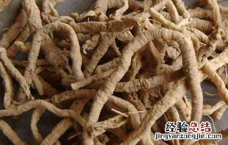 属于远志的炮制方法 远志的炮制方法