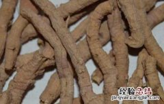 属于远志的炮制方法 远志的炮制方法
