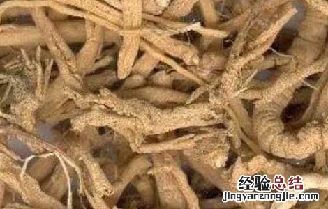 属于远志的炮制方法 远志的炮制方法