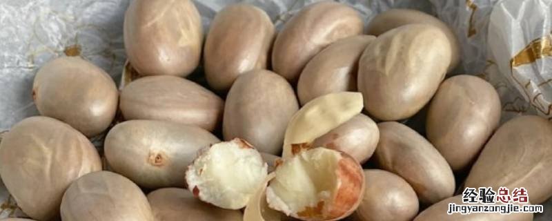 菠萝蜜核外面的软膜能生吃吗 菠萝蜜核外面的软膜能吃吗
