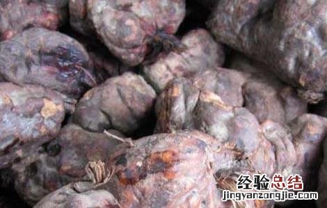 何首乌的产地分布图片 何首乌的产地分布