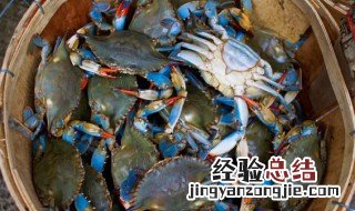 冻螃蟹的做法步骤 冷冻螃蟹的做法