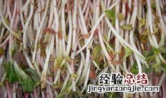 女人吃鱼腥草的好处可以咸减肥吗 女人吃鱼腥草的好处