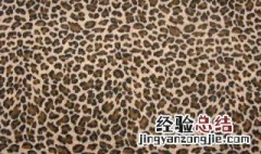 豹纹裤如何搭配衣服 其实很简单