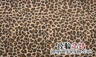 豹纹裤如何搭配衣服 其实很简单