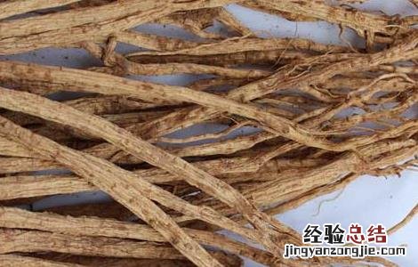 党参的产地分布 党参的产地分布图