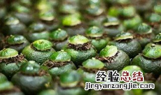 小青柑普洱茶的功效和作用 小青柑柑普洱茶的功效与作用