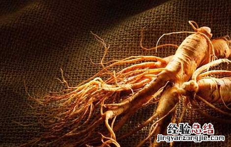 人参的产地分布 人参主要的产地