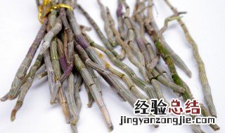金钗石斛有什么功效 金钗石斛的好处