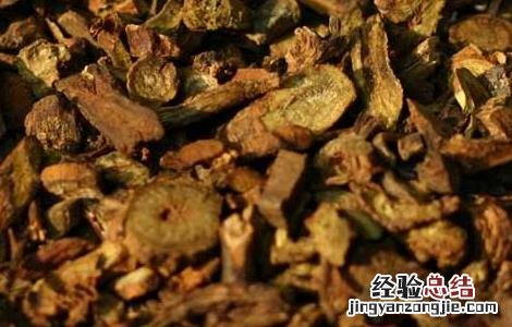 黄芩的产地分布在哪里 黄芩的产地分布