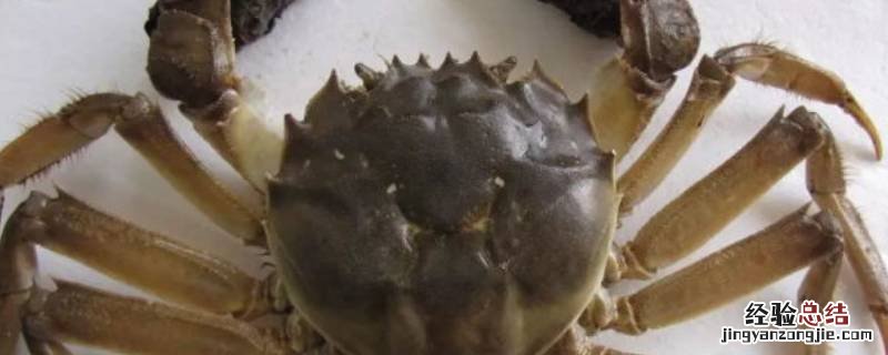 大闸蟹需要蒸多久才熟 大闸蟹大概要蒸多久才熟