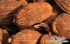 草果出产地 草果的产地分布