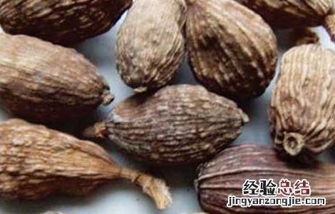 草果出产地 草果的产地分布