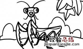 昆虫记螳螂还吃什么昆虫 螳螂除了吃昆虫还能吃什么