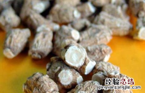 西洋参的产地分布 西洋参的产地分布地图