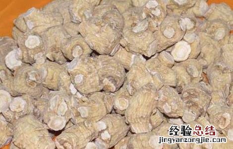 西洋参的产地分布 西洋参的产地分布地图