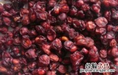 五味子的产地分布 五味子的主要产区