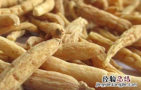 太子参的产地分布 太子参产区