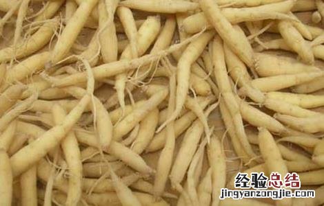 太子参的产地分布 太子参产区