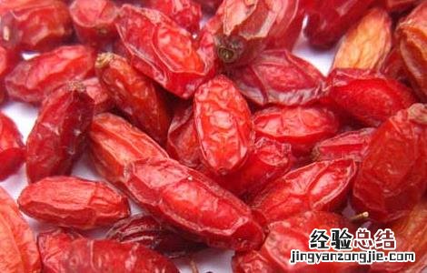 山茱萸的繁殖方法图片 山茱萸的繁殖方法