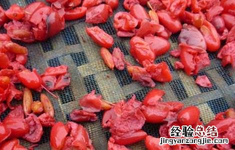 山茱萸的炮制方法及作用 山茱萸的炮制方法