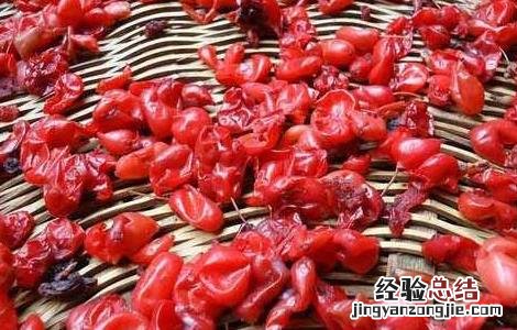 山茱萸的炮制方法及作用 山茱萸的炮制方法