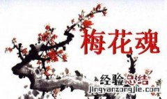 梅花魂中外祖父把什么寄托在梅花上 文章内容介绍