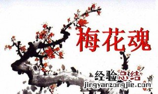 梅花魂中外祖父把什么寄托在梅花上 文章内容介绍