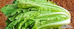 大白菜喷醋怎样使用 白醋喷白菜怎么使用