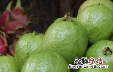 青番石榴的功效与作用 青番石榴的功效与作用禁忌