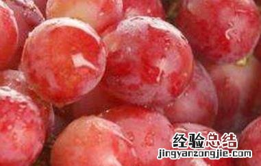 提子籽的功效与作用点 提子籽的功效与作用及禁忌
