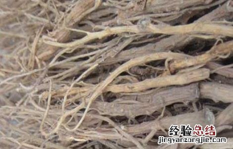 柴胡的产地分布