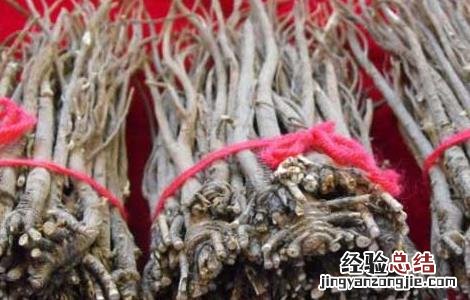 柴胡的产地分布