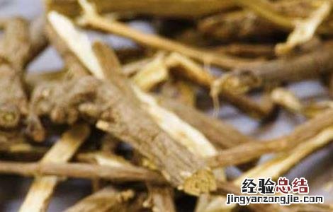 柴胡的产地分布