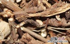 柴胡的种植前景