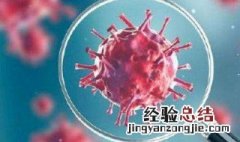 如何有效防护病毒 需做好这三点