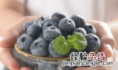鲜蓝莓怎么吃 鲜蓝莓的吃法