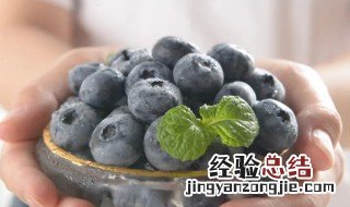 鲜蓝莓怎么吃 鲜蓝莓的吃法