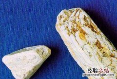 煅龙骨 煅龙骨的功效与作用