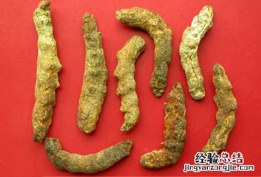 僵蚕 僵蚕的功效与作用
