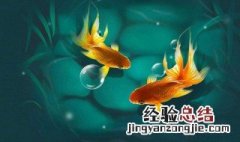 周公解梦梦见鱼 周公解梦梦见鱼在水里游