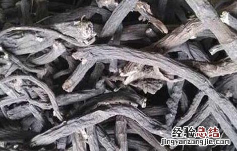 防风的种类有哪些 防风的区别