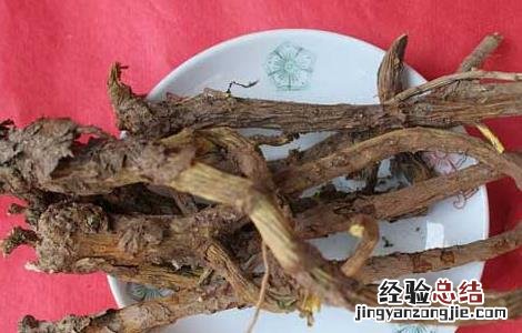 防风的种类有哪些 防风的区别