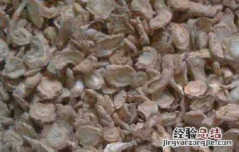 防风的产地分布 防风分布区域