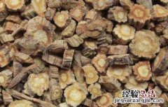 防风的产地分布 防风分布区域