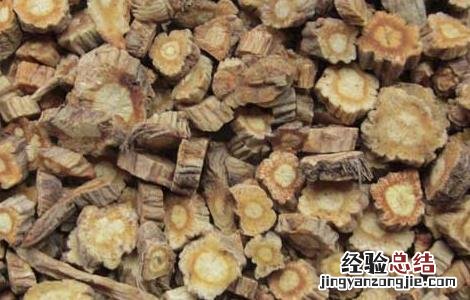 防风的产地分布 防风分布区域