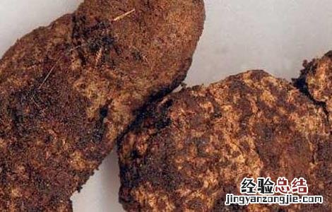 地黄的种类及鉴别方法视频 地黄的种类及鉴别方法