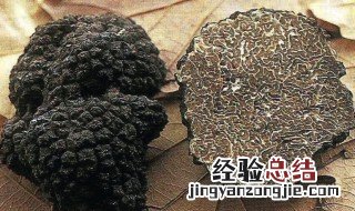 新鲜松露怎么吃最好 新鲜松露好吃做法